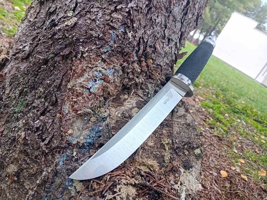 Stefan - THE WARRIOR'S BLADE