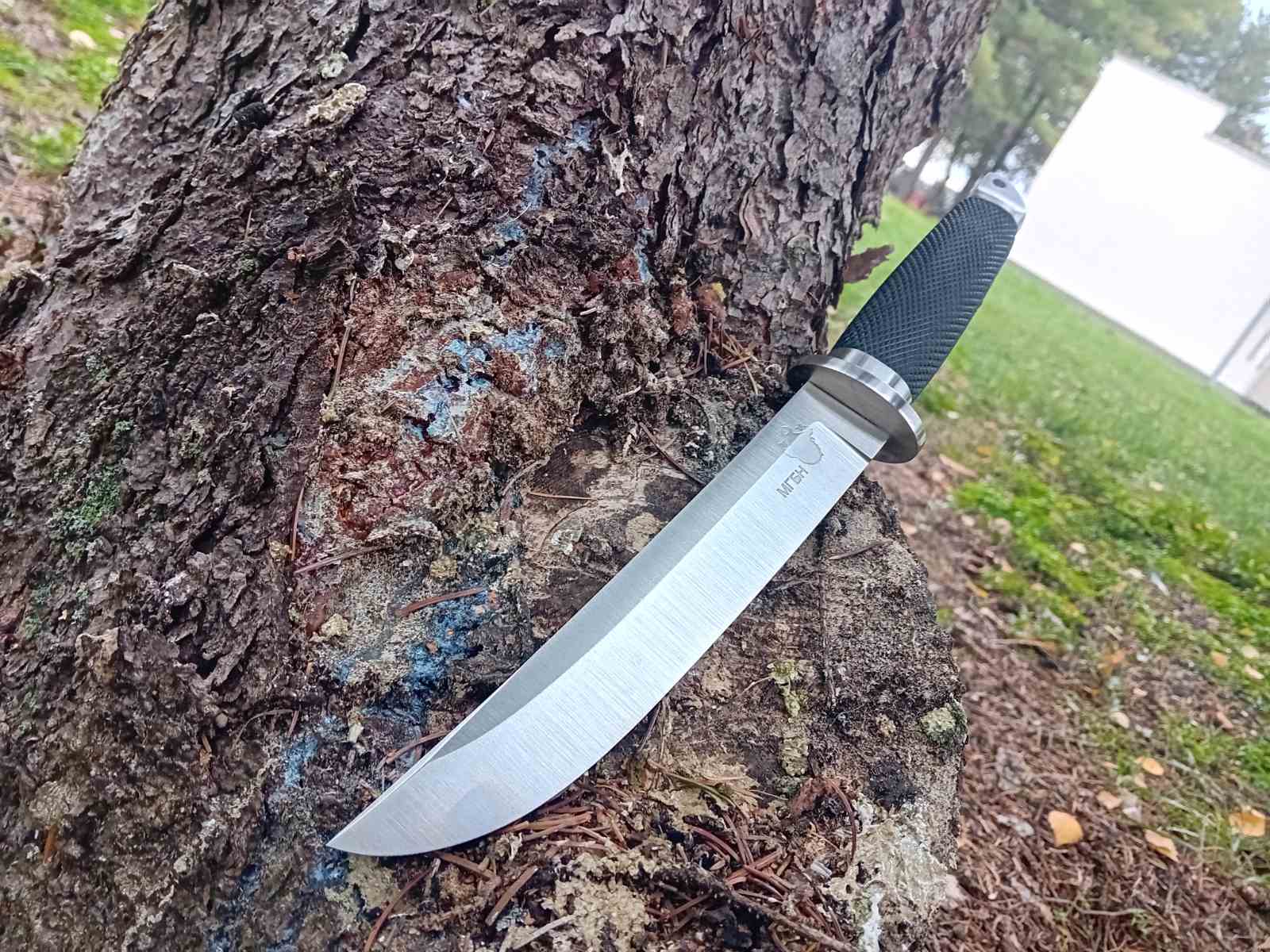 Stefan - THE WARRIOR'S BLADE